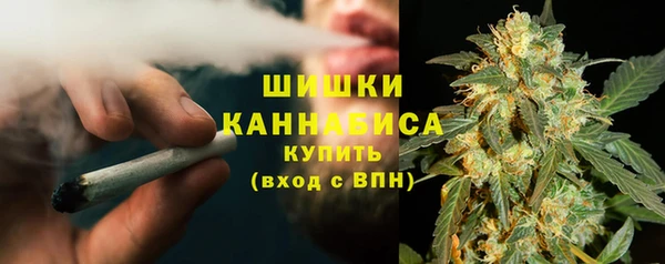 крисы Дмитриев