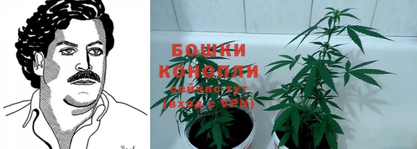 крисы Дмитриев
