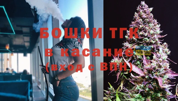крисы Дмитриев