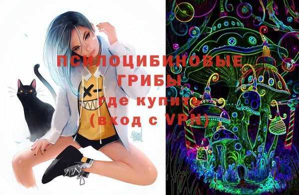 крисы Дмитриев