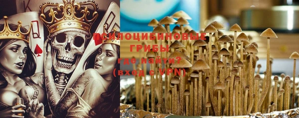 крисы Дмитриев