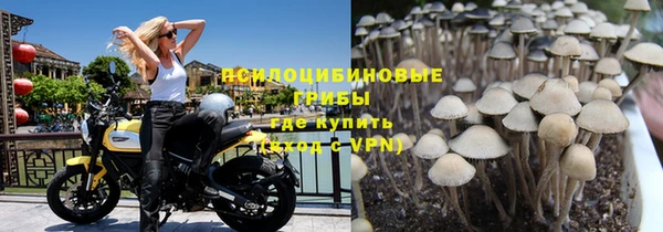 бошки Дмитровск