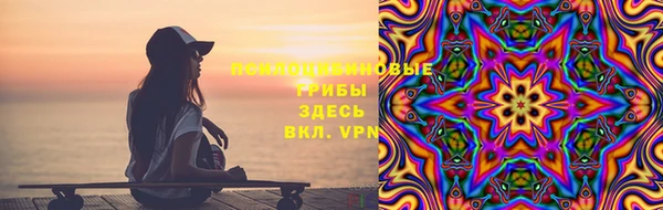 крисы Дмитриев